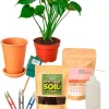 All-in-One New Plant Parent Kit