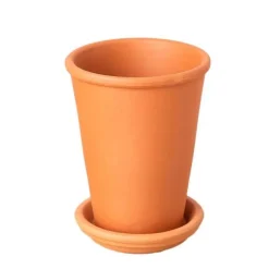 All-in-One New Plant Parent Kit