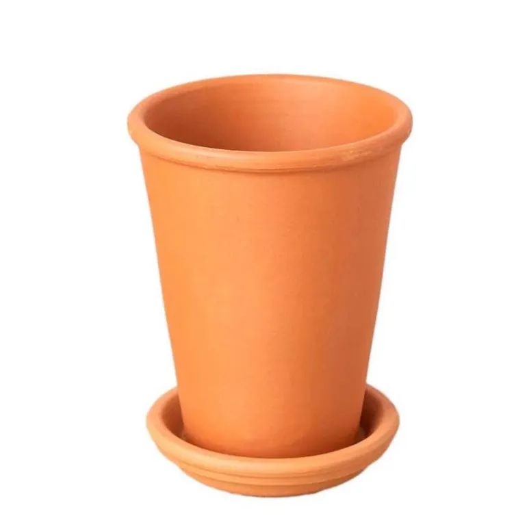 All-in-One New Plant Parent Kit
