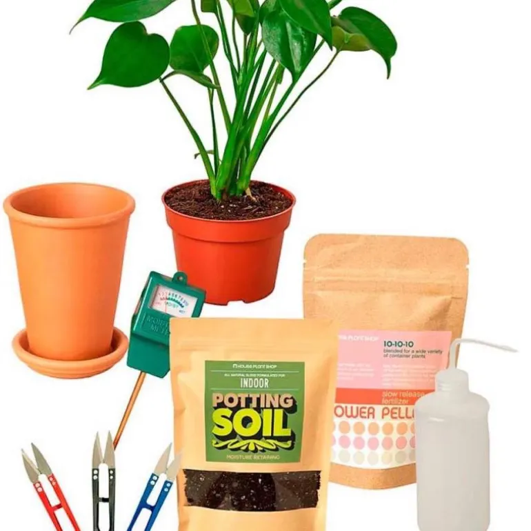 All-in-One New Plant Parent Kit