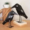 Antique Recycled Iron Crows, Set of 2