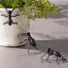 Ant Pot/ Wall Climbers, Set of 3