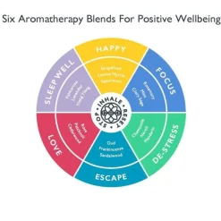 Aromatherapy 6 Balm Discovery Tin