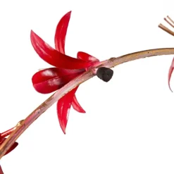 Artisan-Made Amaryllis Wreath