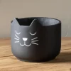 Black Cat Cement Planter