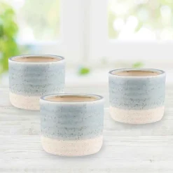 Blue Isle Cachepot Planter, Set of 3