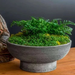 Calistoga Planter Bowl