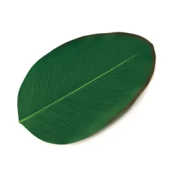 Faux Tropical Heliconia Leaf Placemats, Set of 4