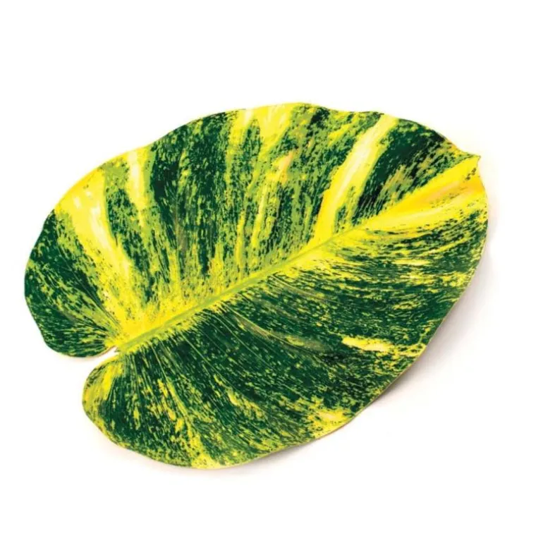 Faux Tropical Pothos Leaf Placemats, Set of 4