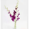 Fresh Cut Small Orchid Bunch in Glass Vase - Purple