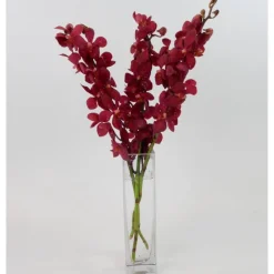 Fresh Cut Small Orchid Bunch in Glass Vase - Red