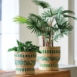 Green and Natural Seagrass Baskets, set of 2