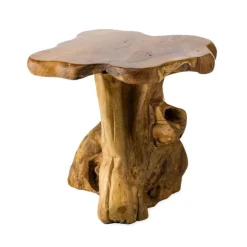 Handcrafted Teak Mushroom Accent Table