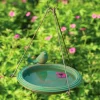 Hanging Birdbath with Perched Bird (teal)