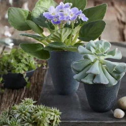 Hasten™ Volcanic Stone Pot Wide