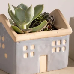 House Planters with Live Succulents, Set of 3