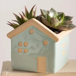 House Planters with Live Succulents, Set of 3