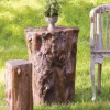 Indoor/ Outdoor Cast Log Stool