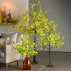 4' Indoor/Outdoor Lighted Gingko Tree