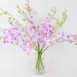 Large Orchid Bunch in Glass Vase - Pink