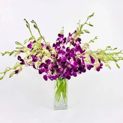 Large Orchid Bunch in Glass Vase - Purple
