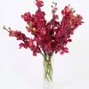 Large Orchid Bunch in Glass Vase - Red