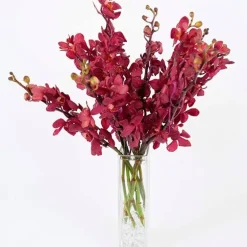 Large Orchid Bunch in Glass Vase - Red