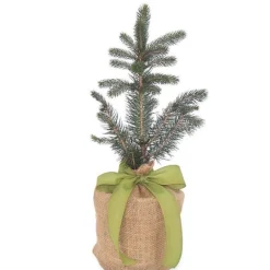 Live Potted Evergreen Trees in Burlap Gift Bag - Colorado Blue Spruce