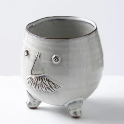 Mr. Pot with Spider Plant