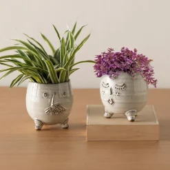Mr. Pot with Spider Plant