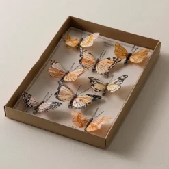Natural Feather Butterflies, Set of 8