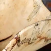 Natural Raw Wood Organic Bowl