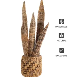 Natural Woven Banana Bark Snake Plant