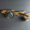 Nature-Inspired Twisted Suar Wood Wall Coat Rack