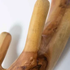 Nature-Inspired Twisted Suar Wood Wall Coat Rack