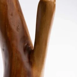 Nature Inspired Twisted Suar Wood Coat Rack
