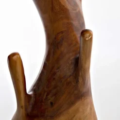 Nature Inspired Twisted Suar Wood Coat Rack