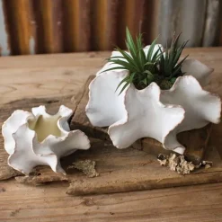 Organic Ceramic Planters Set of 2