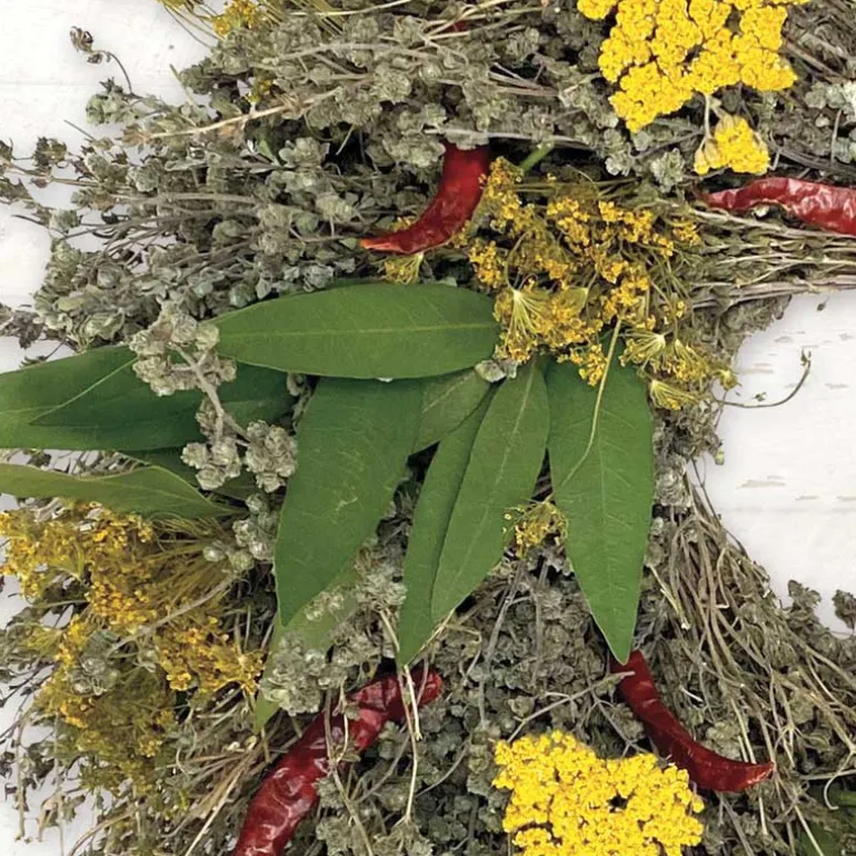 Organic Culinary Herb Wreath without Hanger
