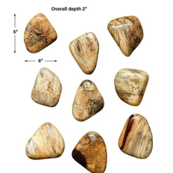 Pebbles Wood Wall Decor, Set of 9 - Blond