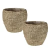 Pedro Cement Basket Large Cachepot, Set of 2