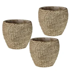 Pedro Cement Basket Small Cachepot, Set of 3