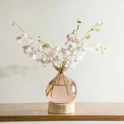 Pink 7" Balloon Vase with 5 Stems of Fresh Cut Orchids - Pink