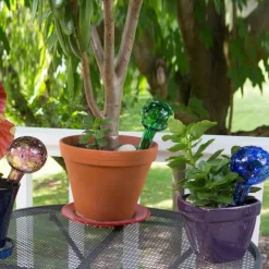 Plant Quencher Glass Watering Globes, Set of 3