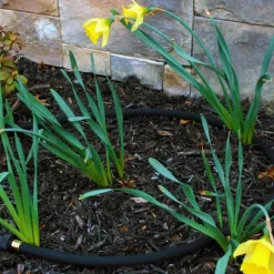 Rain Barrel Low Flow Soaker Hose, 50 ft.