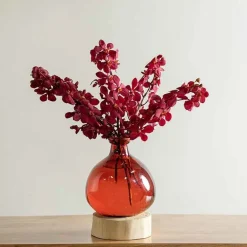 Red 7" Balloon Vase with 5 Stems of Fresh Cut Orchids - Burgundy