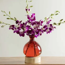 Red 7" Balloon Vase with 5 Stems of Fresh Cut Orchids - Purple