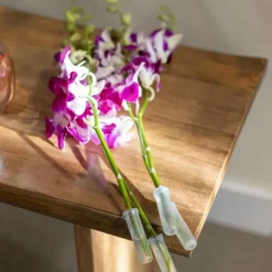 Red 7" Balloon Vase with 5 Stems of Fresh Cut Orchids - Purple
