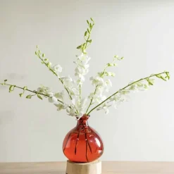 Red 7" Balloon Vase with 5 Stems of Fresh Cut Orchids - White