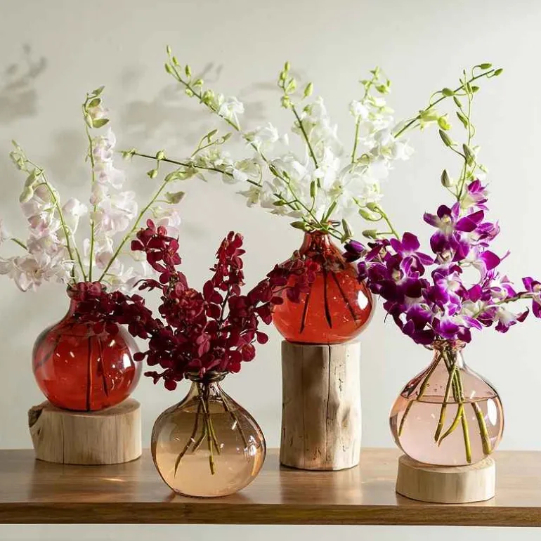 Red 7" Balloon Vase with 5 Stems of Fresh Cut Orchids - White